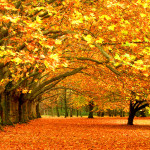 Осень прекрасна
